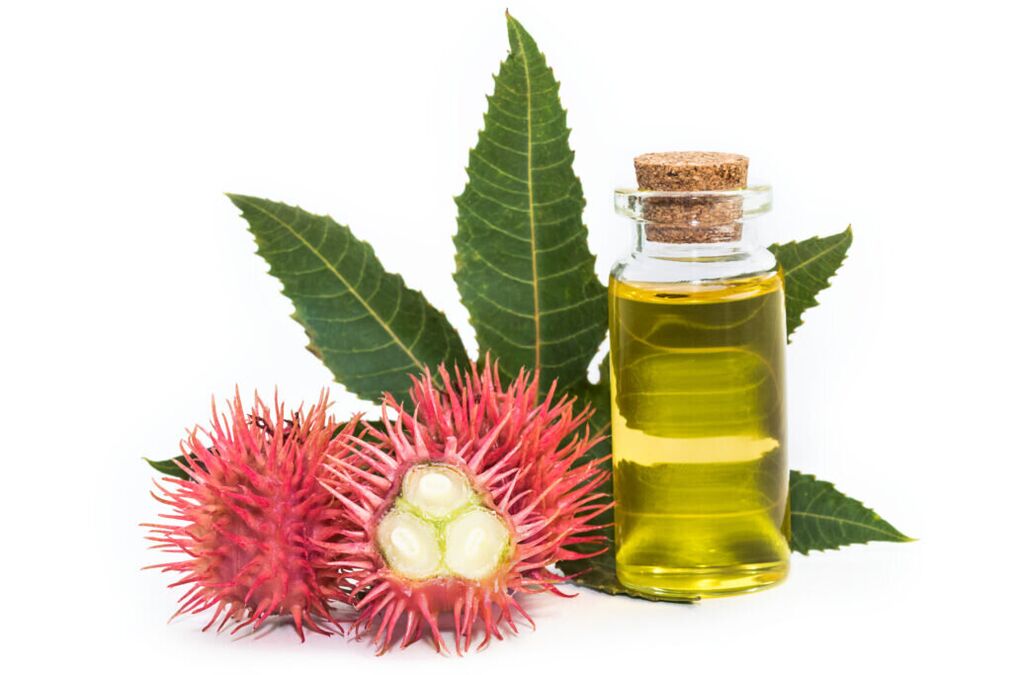 castor oil - the composition of the cream Proctonic